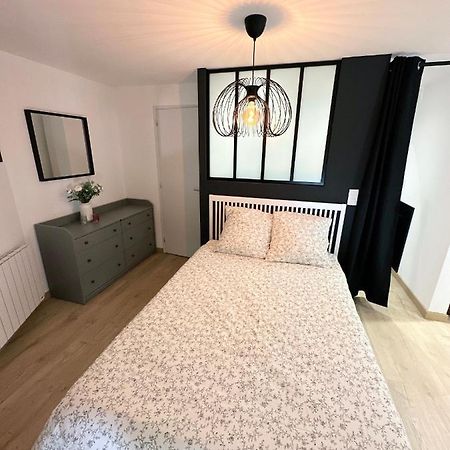 Sacre Appartement/Jardin/Parking/Wifi Rodez Kültér fotó