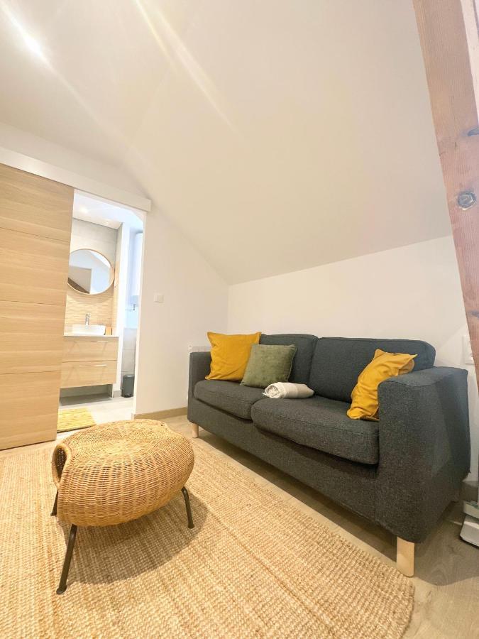 Sacre Appartement/Jardin/Parking/Wifi Rodez Kültér fotó