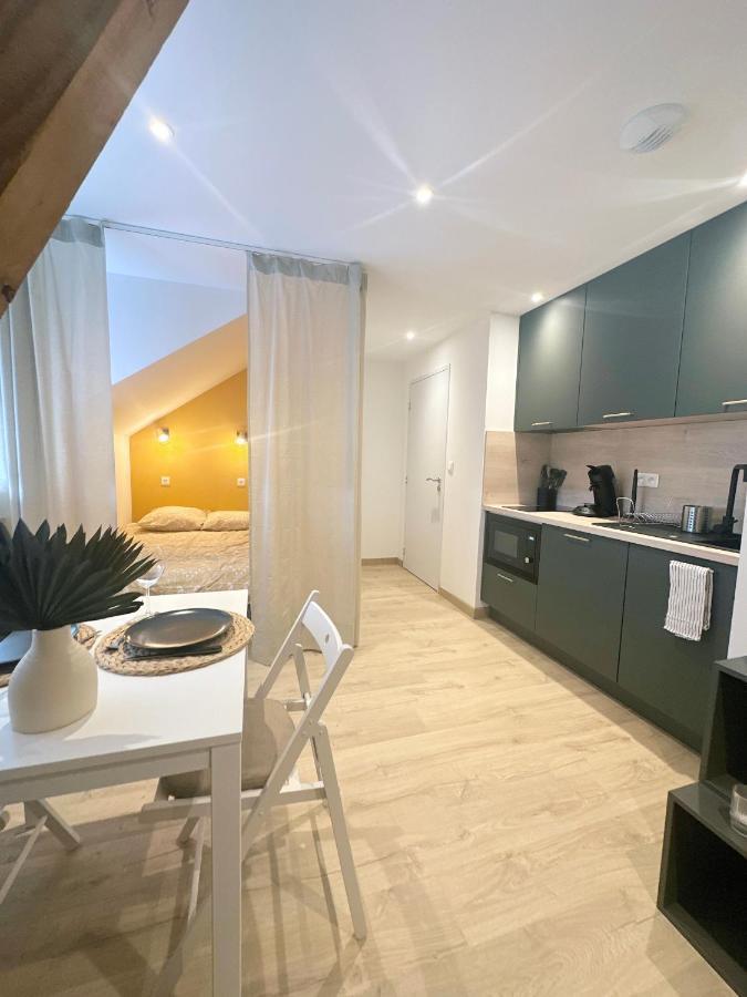 Sacre Appartement/Jardin/Parking/Wifi Rodez Kültér fotó